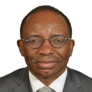 OHCHR Representative